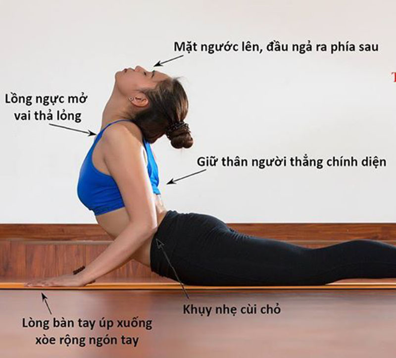 Top 6 bài tập Yoga trị viêm xoang hiệu quả tại nhà ai cũng nên biết - Ảnh 6.