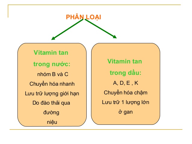 Phân loại vitamin: Vitamin tan trong nước và Vitamin tan trong dầu - Ảnh 2.