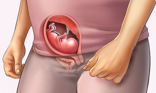 Sự phát triển của thai nhi trong 3 tháng giữa thai kỳ - Ảnh 2.