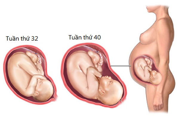 Sự phát triển của thai nhi trong 3 tháng cuối thai kỳ - Ảnh 3.