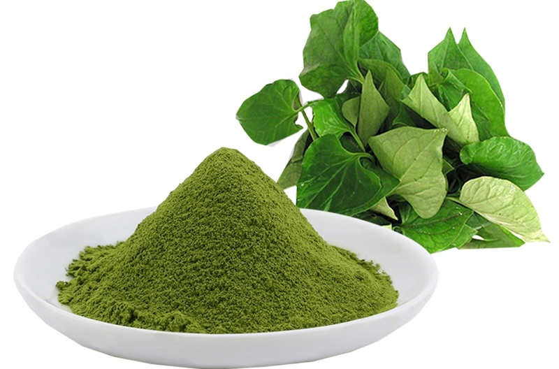 trị mụn bằng rau diếp cá