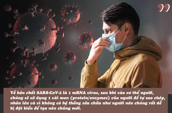 Virus SARS-CoV-2: Chủng mới, biến thể và những điểm mới - Ảnh 2.