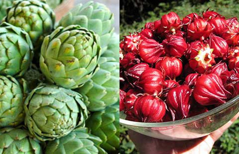 công dụng của hoa atiso