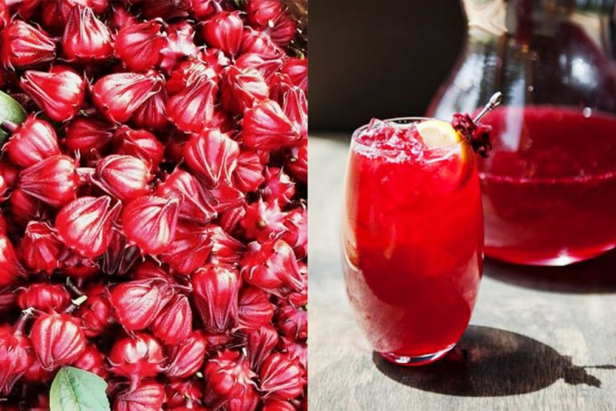 Cách ngâm rượu hoa atiso đỏ