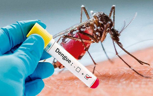 Nhận biết và phân biệt sớm sốt xuất huyết với sốt phát ban