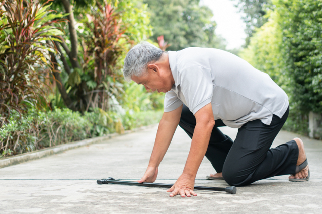 Tại sao xương người già giòn và dễ gãy? Biện pháp cải thiện mật độ xương hiệu quả cho người cao tuổi - Ảnh 2.