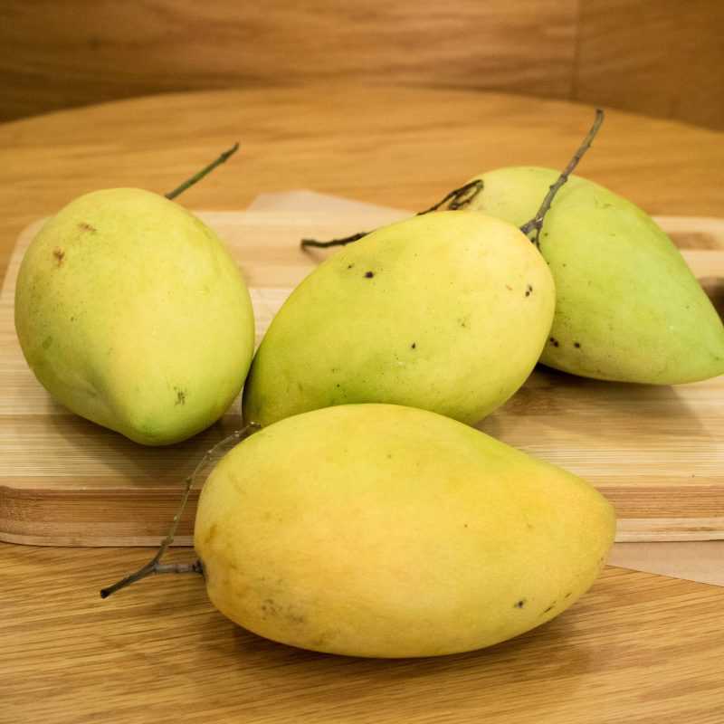 Quả xoài là quả gì? Bạn đã biết hết những tác dụng của quả xoài chưa? - Ảnh 2. Quả xoài là quả gì? Bạn đã biết hết những tác dụng của quả xoài chưa? - Ảnh 2.