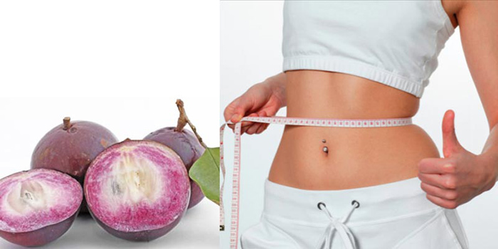 Ăn vú sữa có tốt không? Tác dụng của vú sữa đối với sức khỏe có thể bạn chưa biết - Ảnh 3.