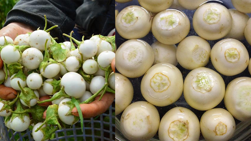 Ăn cà muối có hại không: Sự thật về món ăn đưa miệng nhà nào cũng có trên mâm cơm mùa hè - Ảnh 8. Ăn cà muối có hại không: Sự thật về món ăn đưa miệng nhà nào cũng có trên mâm cơm mùa hè - Ảnh 8.