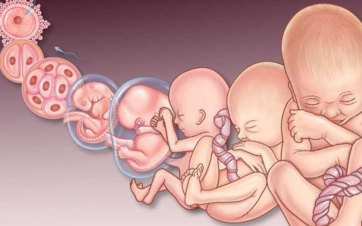 Bệnh Rubella ảnh hưởng tới thai kỳ như thế nào?