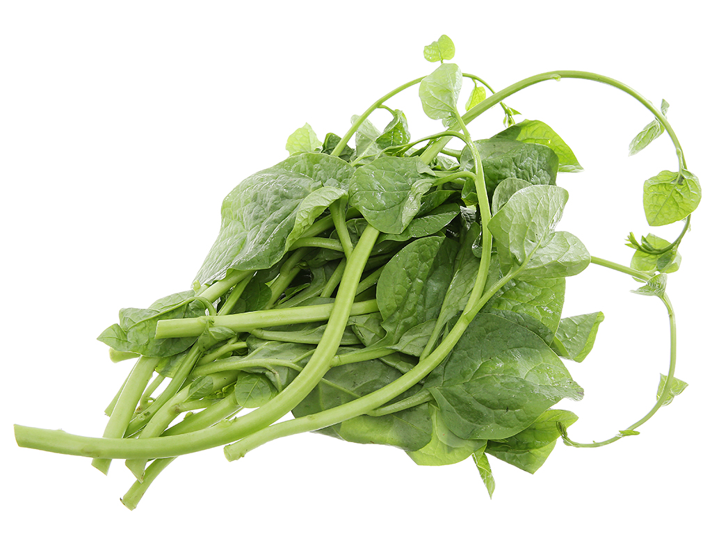 Giải đáp thắc mắc bà bầu ăn rau mồng tơi được không? - Ảnh 3.