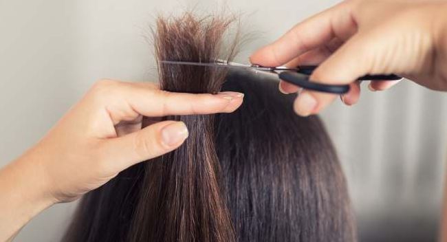 Tóc bị chẻ ngọn là gì? Biện pháp ngăn ngừa tóc bị chẻ ngọn hiệu quả - Ảnh 3.