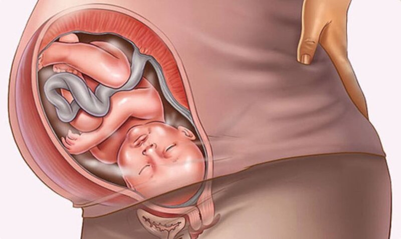 NGỨA VÙNG KÍN Ở THÁNG GIỮA THAI KỲ DO HORMONE VÀ VỆ SINH CHƯA ĐÚNG CÁCH