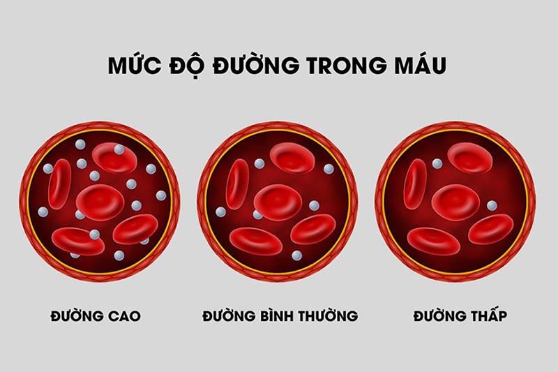 Cỏ lúa mì có tác dụng gì đối với sức khoẻ con người? - Ảnh 4. Cỏ lúa mì có tác dụng gì đối với sức khoẻ con người? - Ảnh 4.