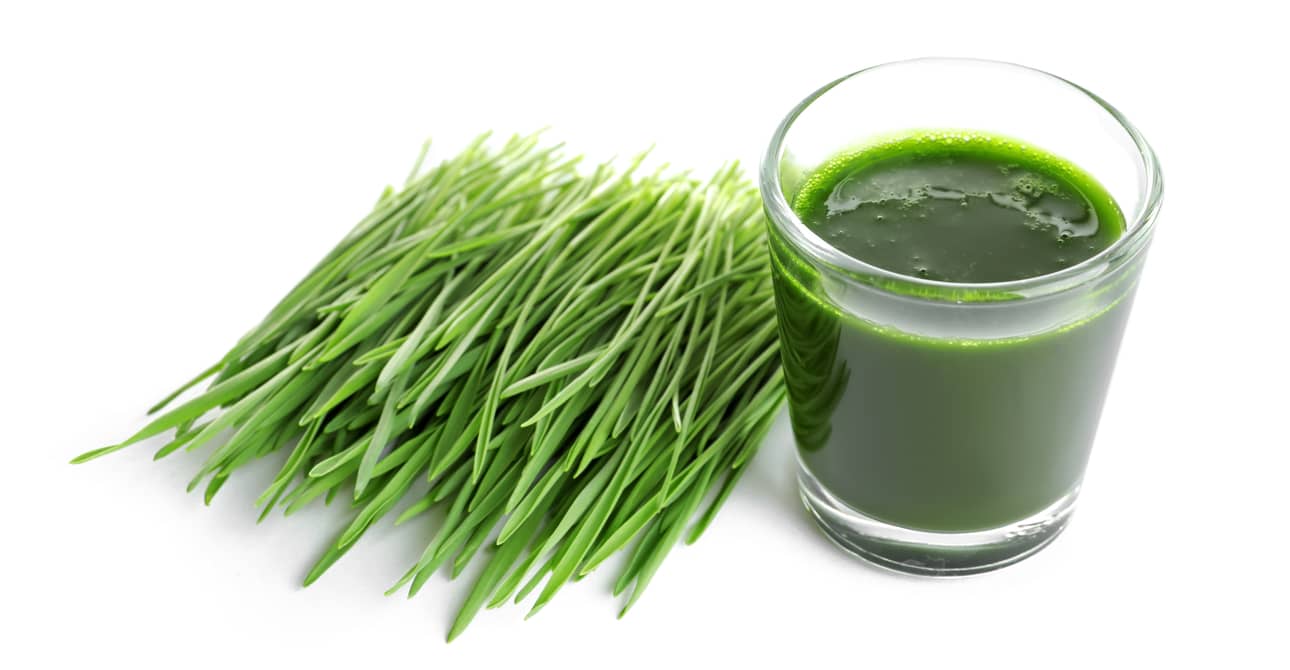 Cỏ lúa mì có tác dụng gì đối với sức khoẻ con người? - Ảnh 5. Cỏ lúa mì có tác dụng gì đối với sức khoẻ con người? - Ảnh 5.