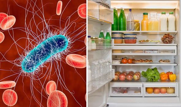 4 loại vi khuẩn nguy hiểm ưa thích môi trường tủ lạnh, nhận biết để phòng ngừa ngộ độc - Ảnh 2.