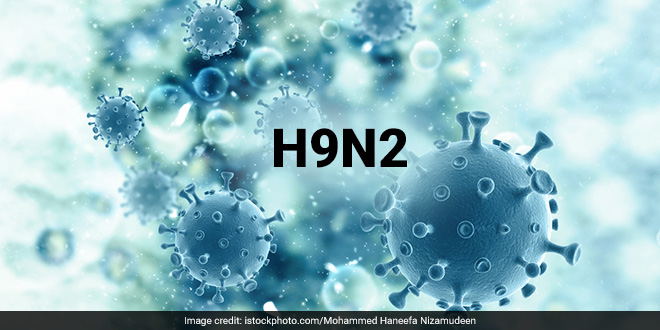 Cúm A/H9 có phải là loại virus cúm gia cầm có độc lực cao?- Ảnh 4.
