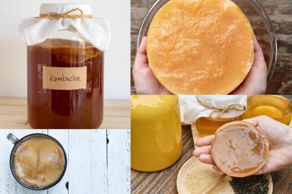 Uống kombucha bao nhiêu là quá nhiều? Dừng ngay khi thấy 5 dấu hiệu &quot;bất ổn&quot; này - Ảnh 1.