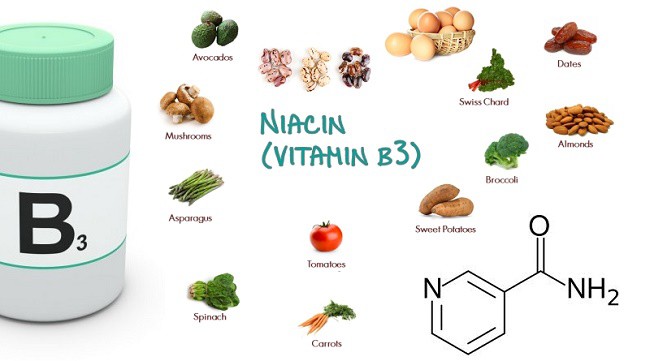 vitamin b3 là gì