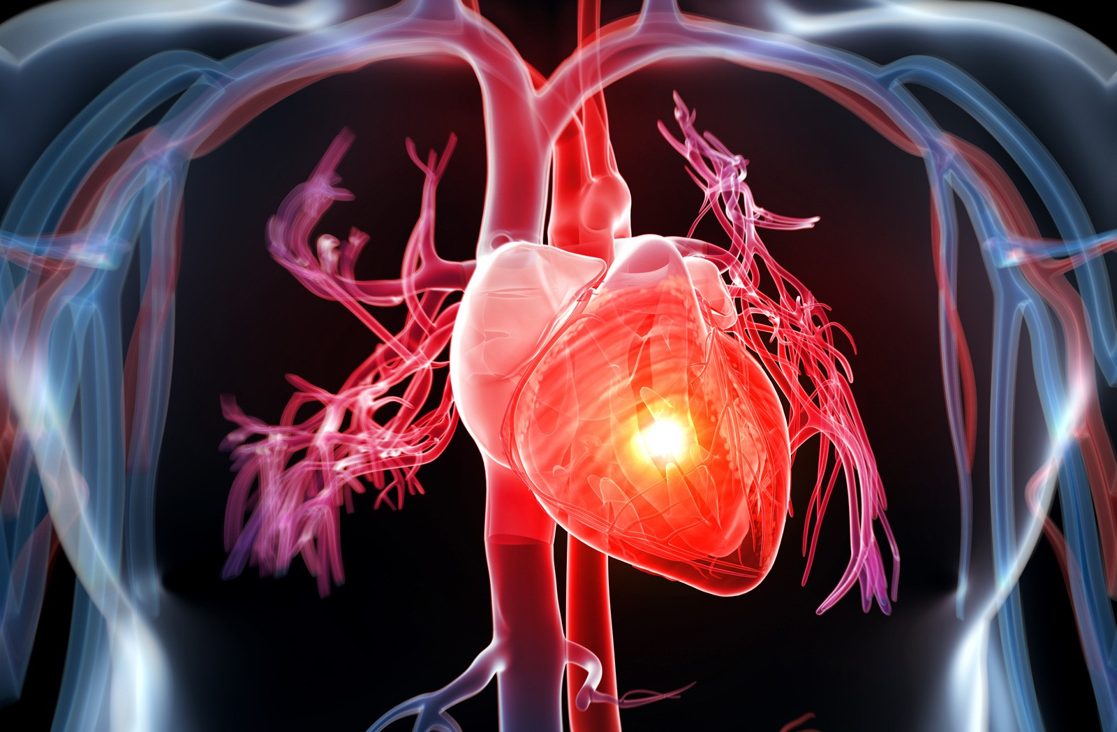Lời khuyên của chuyên gia về cách phòng ngừa rối loạn nhịp tim - Ảnh 1.