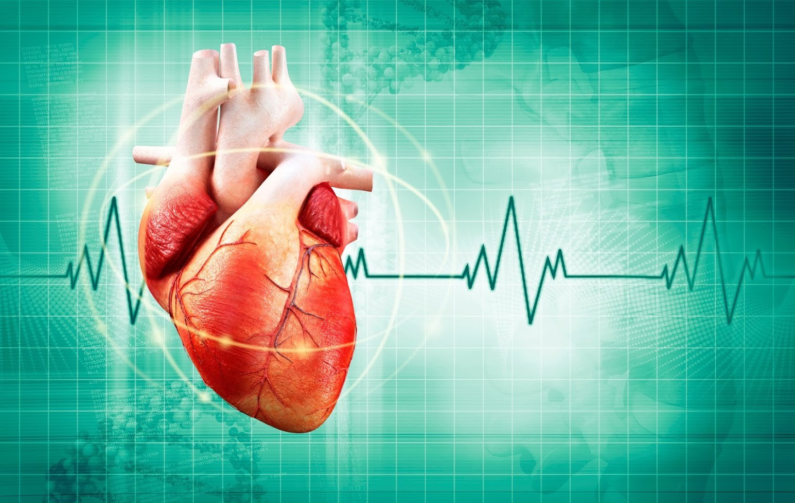 Lời khuyên của chuyên gia về cách phòng ngừa rối loạn nhịp tim - Ảnh 2.