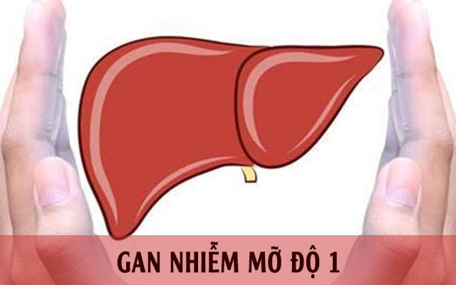 Tìm hiểu các cấp độ của bệnh gan nhiễm mỡ