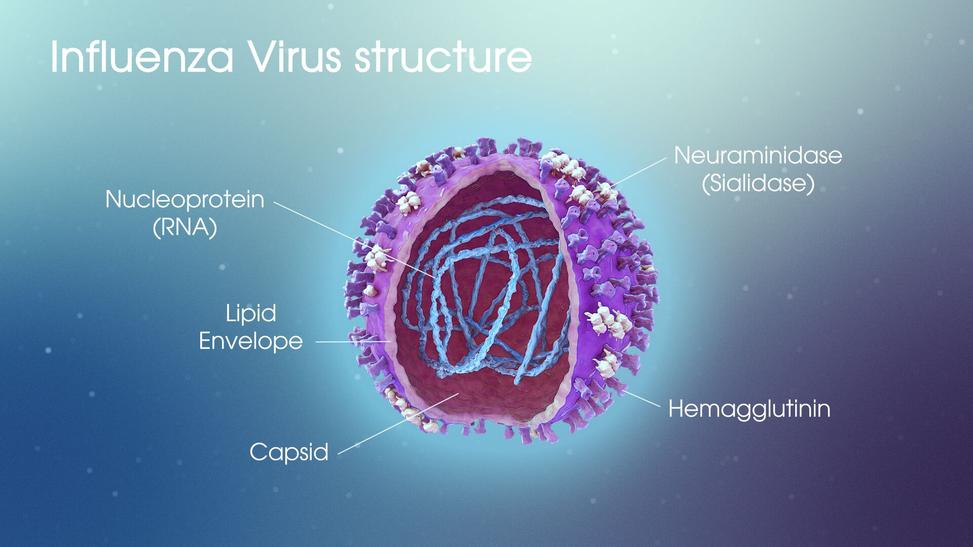 Virus cúm A