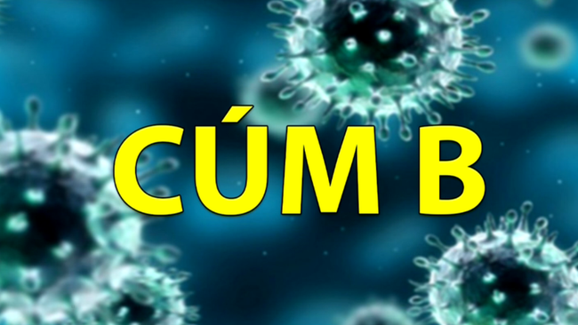 Những điều cần biết về cúm B  - Ảnh 1.