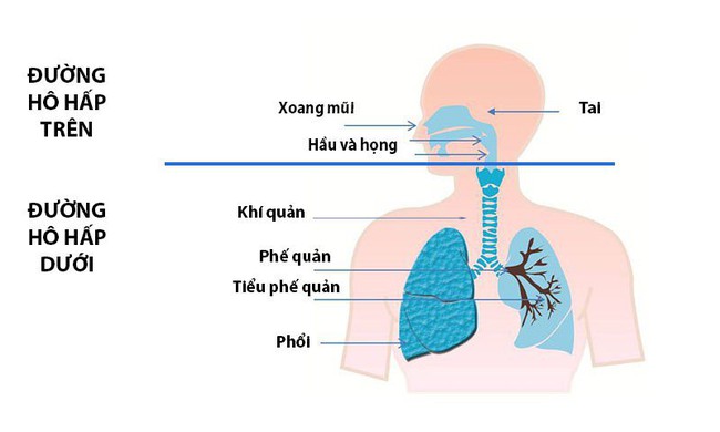 Bệnh phổi đặc biệt nguy hiểm, cần bảo vệ phổi mùa thu bằng cách nào? - Ảnh 2.