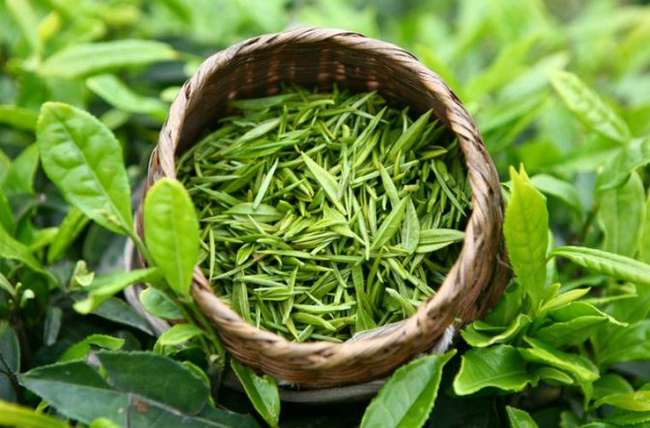 Từ bỏ ngay 3 cách uống trà gây hại thận, hại dạ dày mà người Việt thường mắc phải, thậm chí gây ung thư - Ảnh 4.
