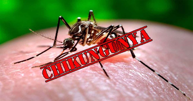 An Giang ghi nhận 2 trường hợp mắc bệnh Chikungunya: Hướng dẫn phân biệt với bệnh sốt xuất huyết để kịp thời điều trị - Ảnh 2.