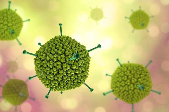 adenovirus viêm kết mạc do virus