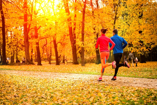 Tập thể dục mùa thu cần lưu ý gì để vừa hiệu quả lại không &quot;tác dụng ngược&quot; với sức khoẻ? - Ảnh 3.
