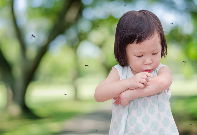 PGS.TS Nguyễn Tiến Dũng: Trẻ em có nguy cơ mắc sốt xuất huyết nặng hơn người lớn - Ảnh 5.