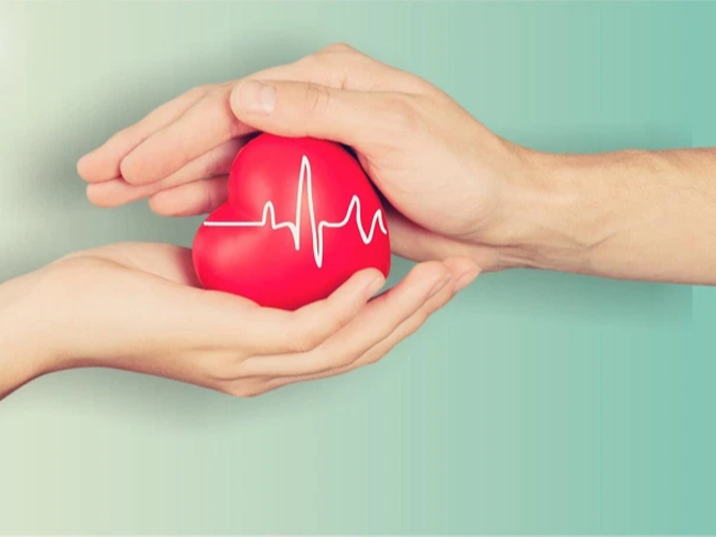 Môi trường và các yếu tố nguy cơ gây bệnh tim mạch - Ảnh 3.