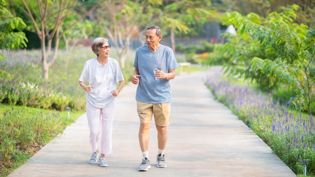 Tại sao xương người già giòn và dễ gãy? Biện pháp cải thiện mật độ xương hiệu quả cho người cao tuổi - Ảnh 4.