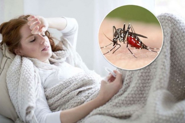 Sốt rét run ở người lớn nên làm gì? Những điều cần biết về bệnh sốt rét - Ảnh 1.