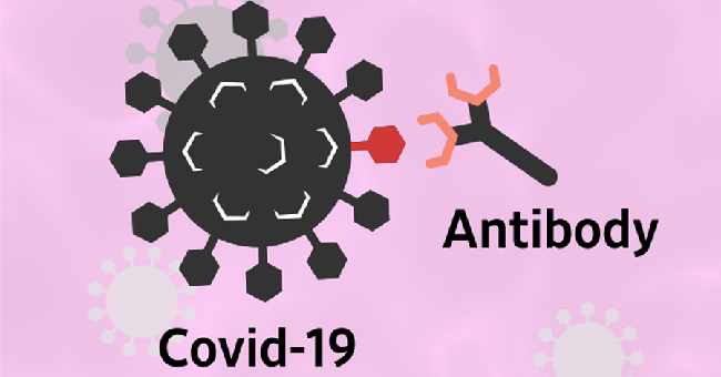 Các kháng thể tồn tại trong cơ thể bao lâu sau khi nhiễm COVID-19? - Ảnh 1.
