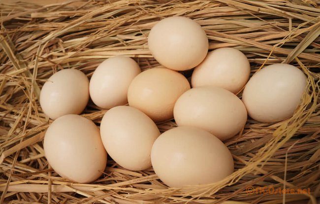 Thời gian bảo quản trứng tươi trong tủ lạnh thế nào là đúng bạn đã biết chưa?  - Ảnh 1.