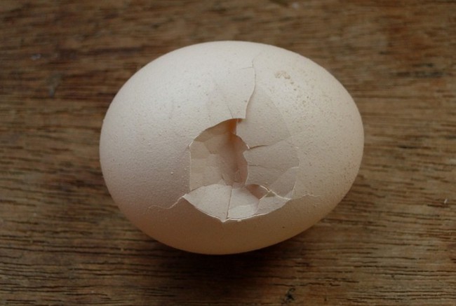 Thời gian bảo quản trứng tươi trong tủ lạnh thế nào là đúng bạn đã biết chưa?  - Ảnh 4.