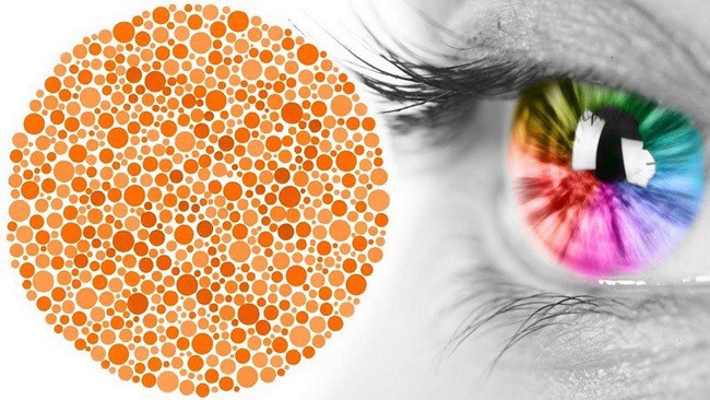 Bệnh mù màu là bệnh gì? Thông tin từ A đến Z về bệnh mù màu