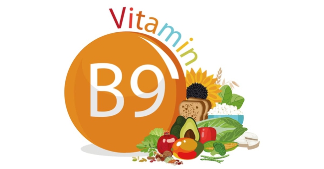 Vitamin B9 là gì? Tác dụng của vitamin B9 - Ảnh 1.
