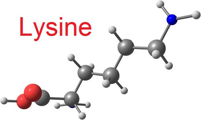 Lysine là gì? Cách bổ sung Lysine cho trẻ đúng cách - Ảnh 2.