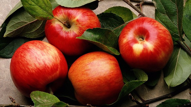 5 loại trái cây mùa hè giúp xương chắc khoẻ - Ảnh 2.