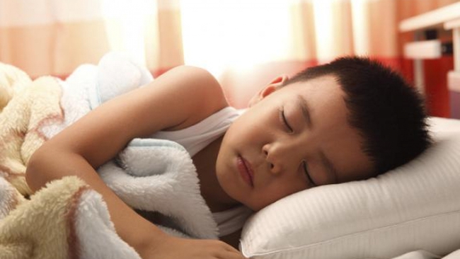 Nghiên cứu mới: Học tập sau khi thức giấc cho hiệu quả cao hơn - Ảnh 2.