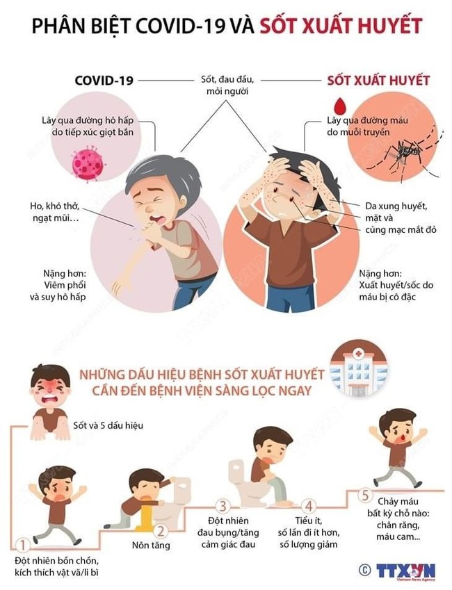 [Infographics] Hướng dẫn phân biệt COVID-19 và Sốt xuất huyết mới nhất - Ảnh 2.