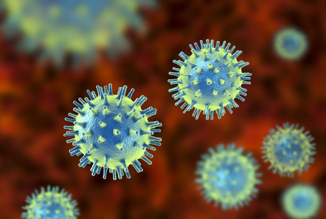 Trung Quốc phát hiện virus mới “LayV” có khả năng gây chết người - Ảnh 2.