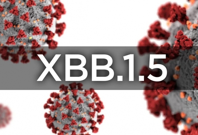Triệu chứng COVID-19 thường gặp khi mắc biến thể XBB.1.5, phòng ngừa và điều trị thế nào? - Ảnh 4.