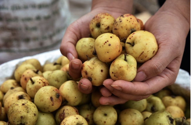 9 loại trái cây mùa thu tốt cho sức khỏe tim mạch - Ảnh 2.