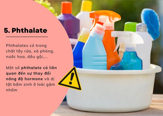 9 hóa chất độc hại &quot;ẩn nấp&quot; trong đồ dùng của gia đình bạn - Ảnh 6.